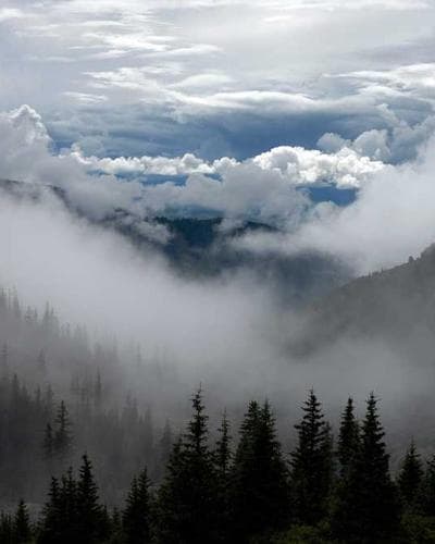 Applique Barmer Cotton Unstitched Suit Set