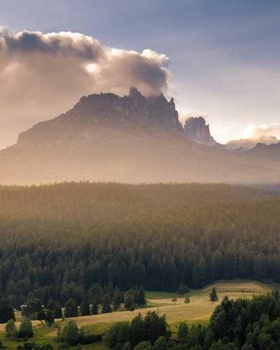 COTTON NANDANA PRINT SAREE SR CT ND 392